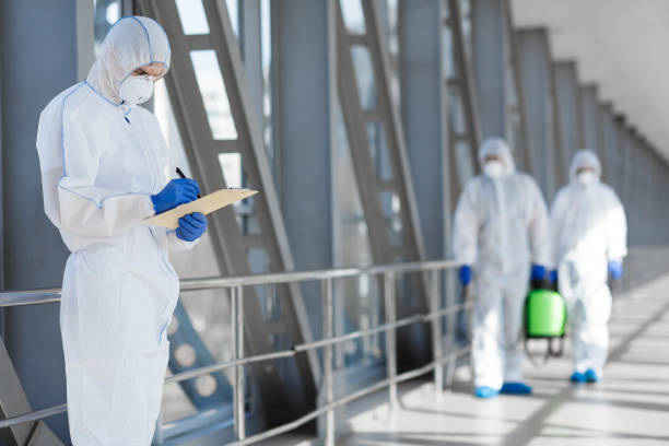 Best Black Mold Removal  in Lansdale, PA