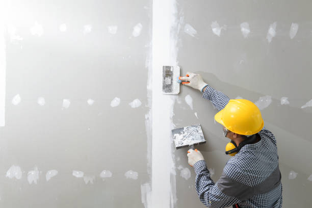 Best Air Quality Testing for Mold Spores  in Lansdale, PA