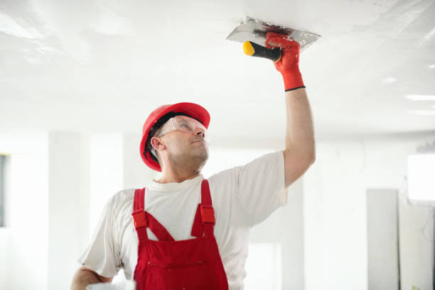 Best Airborne Mold Testing  in Lansdale, PA