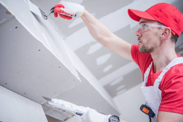 Best Mold Damage Restoration  in Lansdale, PA